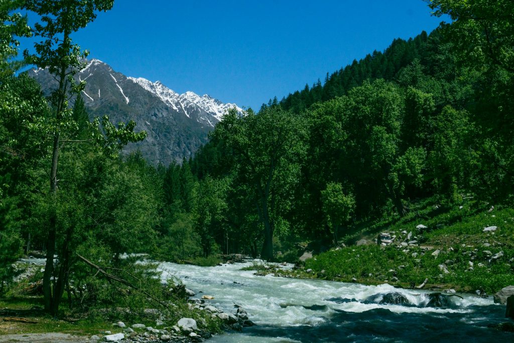 Forest and peaks of Kumrat valley