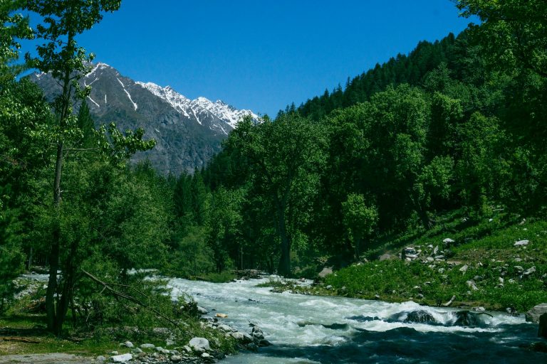 Forest and peaks of Kumrat valley