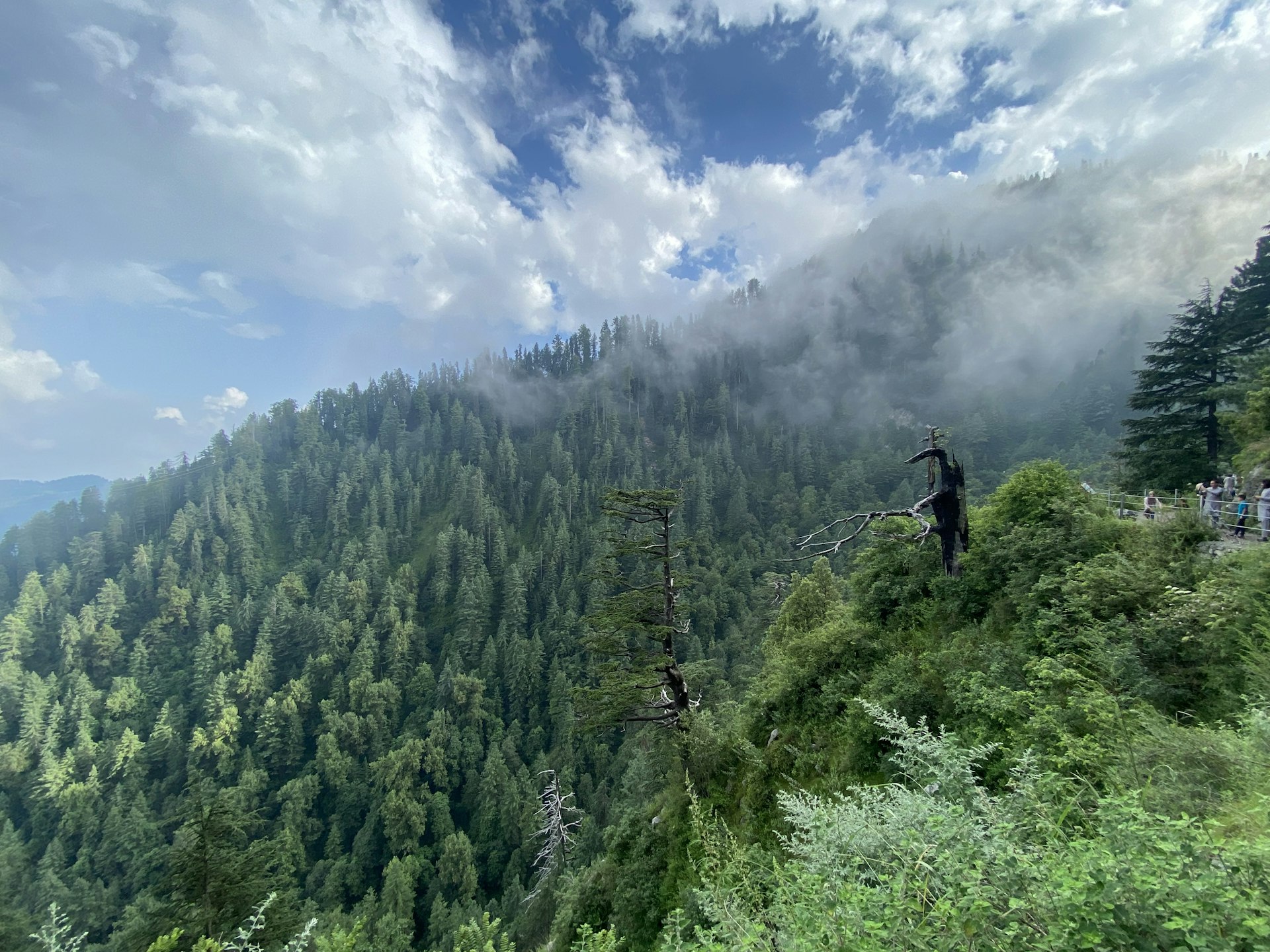 Hikers on the green summit of Mushkpuri