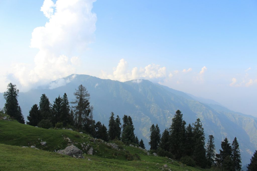 Green meadows and forest near Shogran