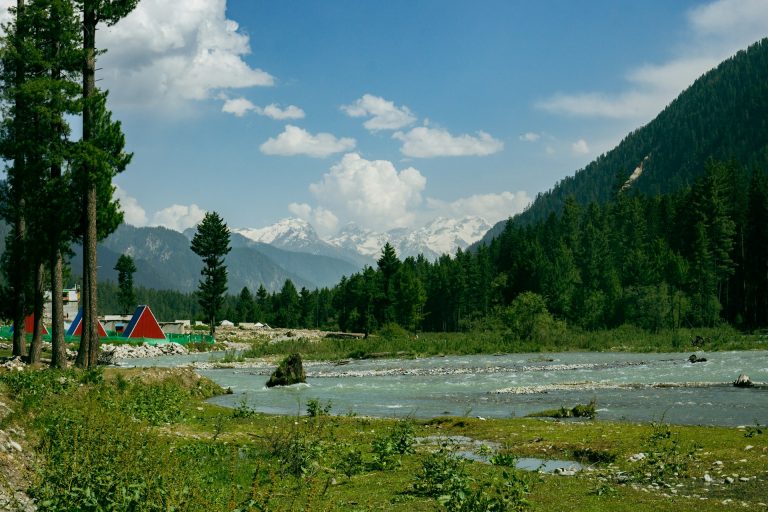 Pine forest and river in Swat valley